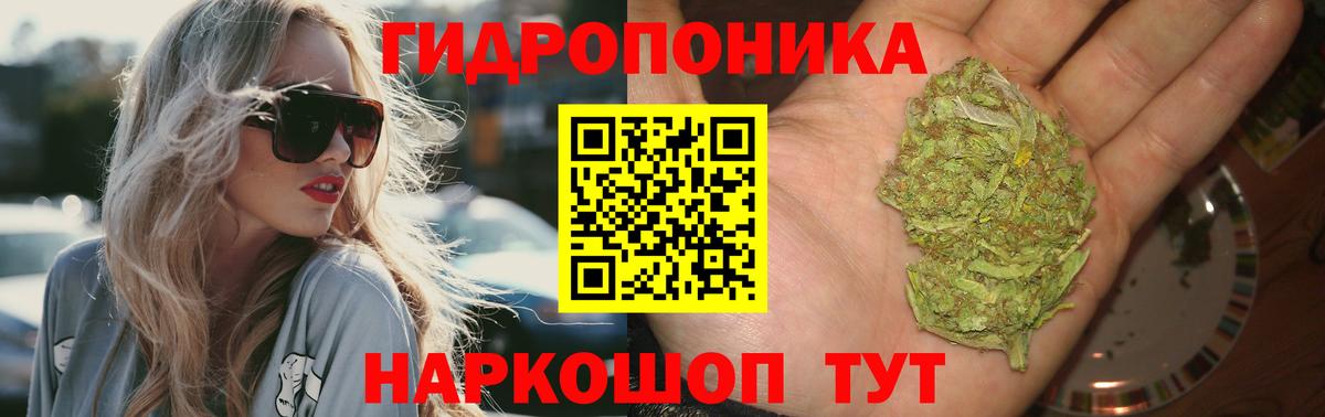 Канабис ГИДРОПОН Старая Русса